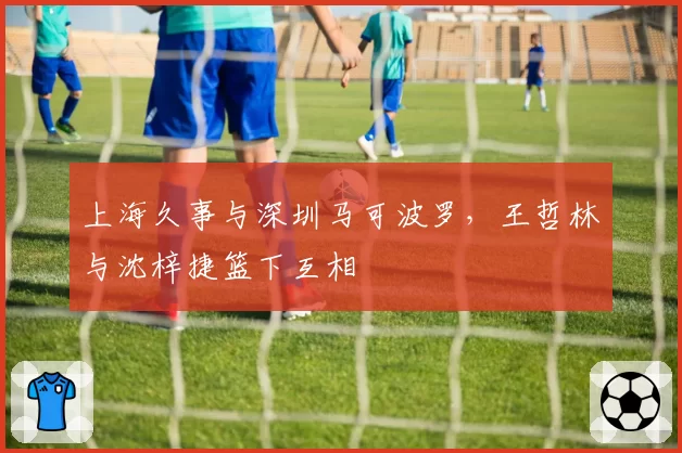 上海久事与深圳马可波罗,王哲林与沈梓捷篮下互相