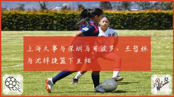 上海久事与深圳马可波罗，王哲林与沈梓捷篮下互相